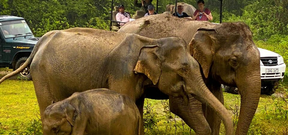 . Wildlife & Nature Tours -lufthlanka tours