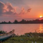 Gallery Thumbnail 6