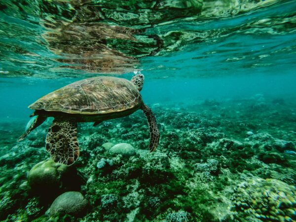 Beach & Relaxation Packages = lufthlanka Tours