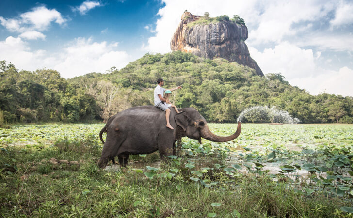 family friendly tour srilanka