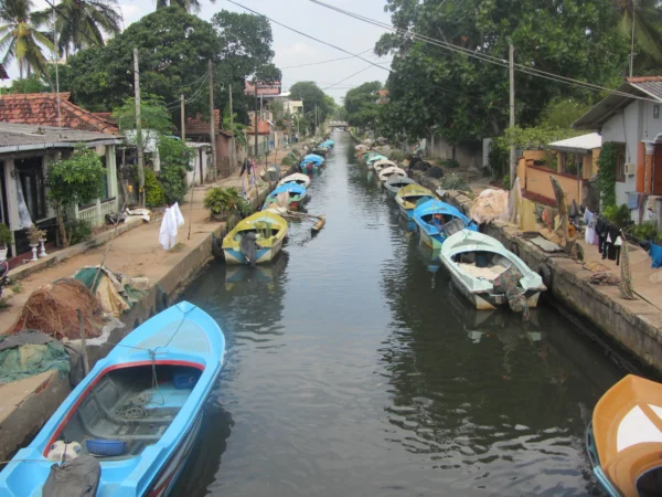 negombo lufthlanka tours