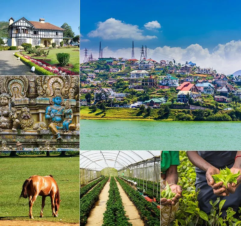 Nuwara Eliya - Lufthlanka tours