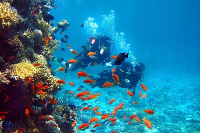 see dive tour lufthlanka tours