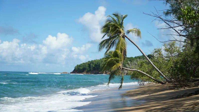 tropical-beach lufthlanka tours