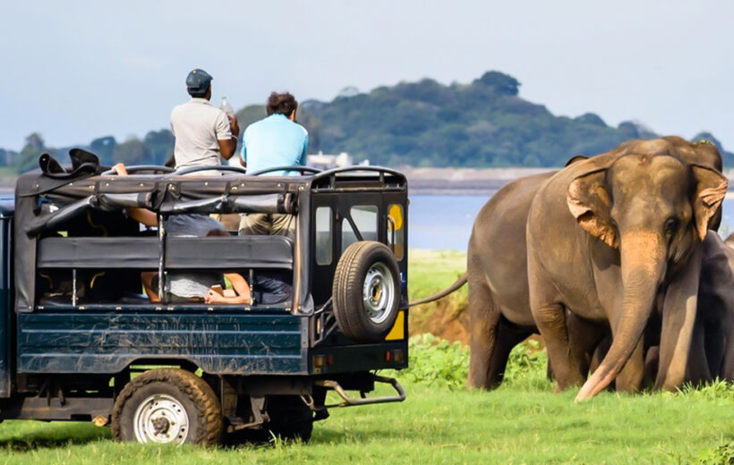Sri Lanka Wildlife Safari (5 Days / 4 Nights)
