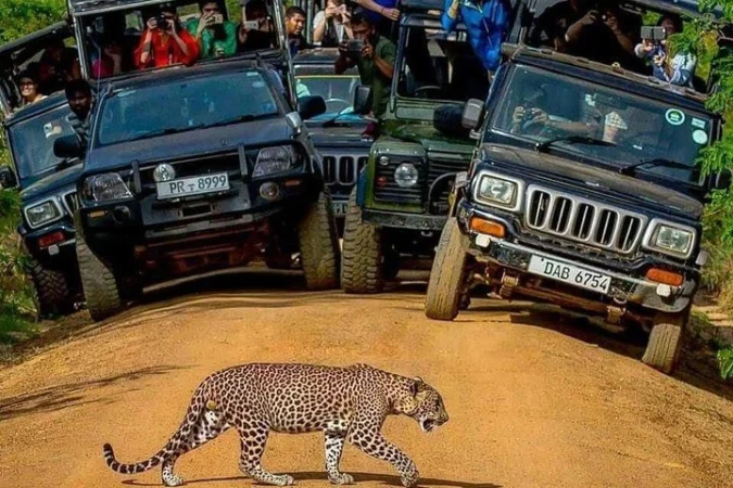 private-driver-jeep-lufthlanka tours
