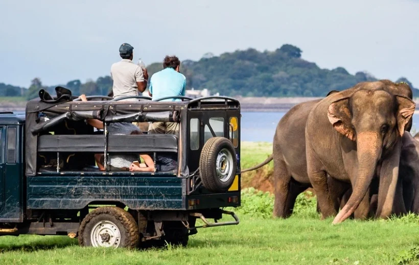 Sri Lanka Wildlife Safari (5 Days / 4 Nights)